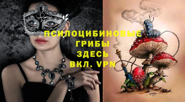 spice Абинск