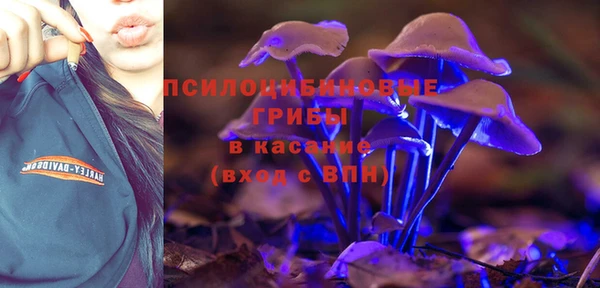 spice Абинск